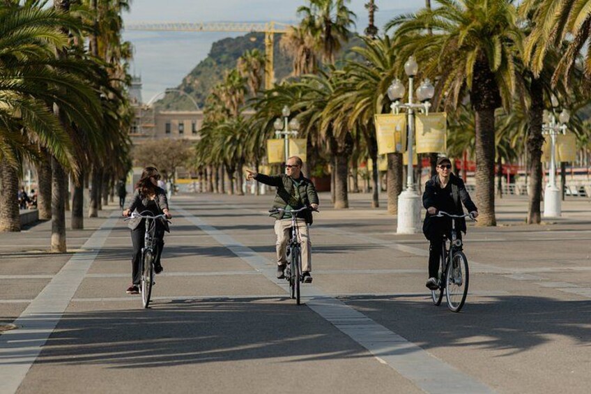 Three people riding bicycles on a wide pedestrian path lined with palm trees and street lamps. 3