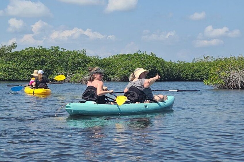 People kayaking on a calm river surrounded by mangrove trees. 2