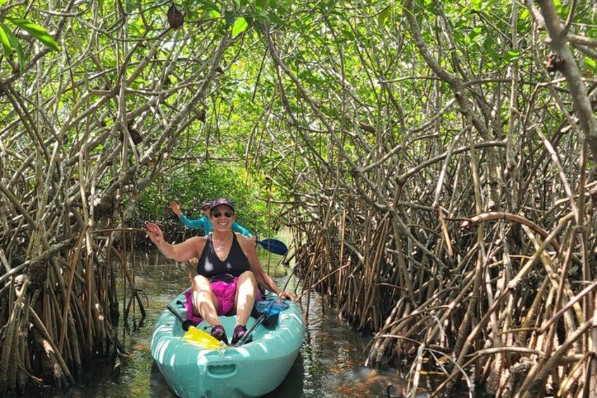 A person in a kayak navigating a mangrove forest. 1