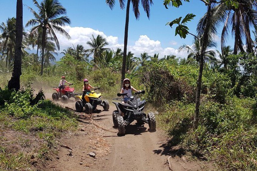 Three people riding quad bikes on a dirt path surrounded by palm trees. 4