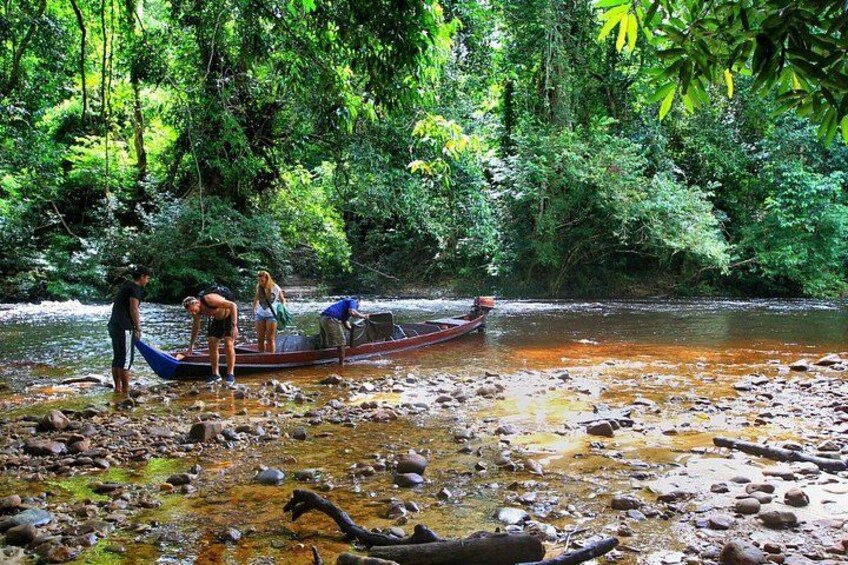 A riverbank with people standing near a canoe, surrounded by dense green foliage. 2
