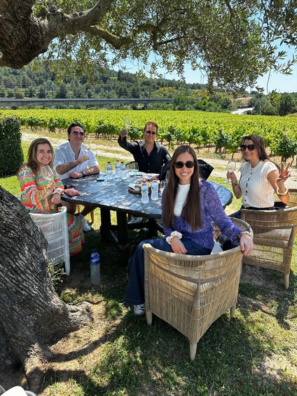 Un grupo de personas sentadas en una mesa al aire libre en un viñedo. 3