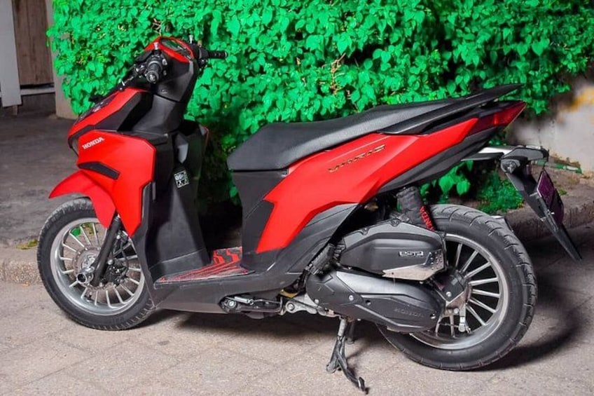 A red and black Honda scooter parked on a concrete surface with a green hedge in the background. 1