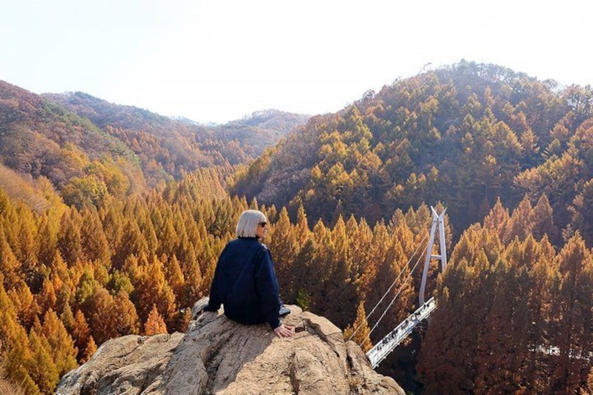 A person sitting on a rock overlooking a forested valley with a suspension bridge. 1