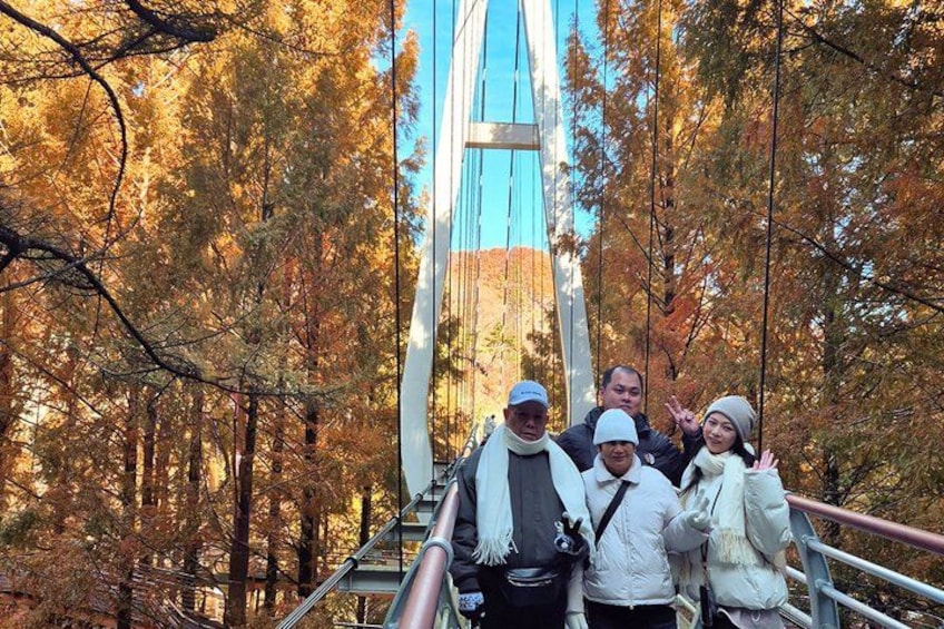 A group of people on a ski lift surrounded by autumn trees. 2