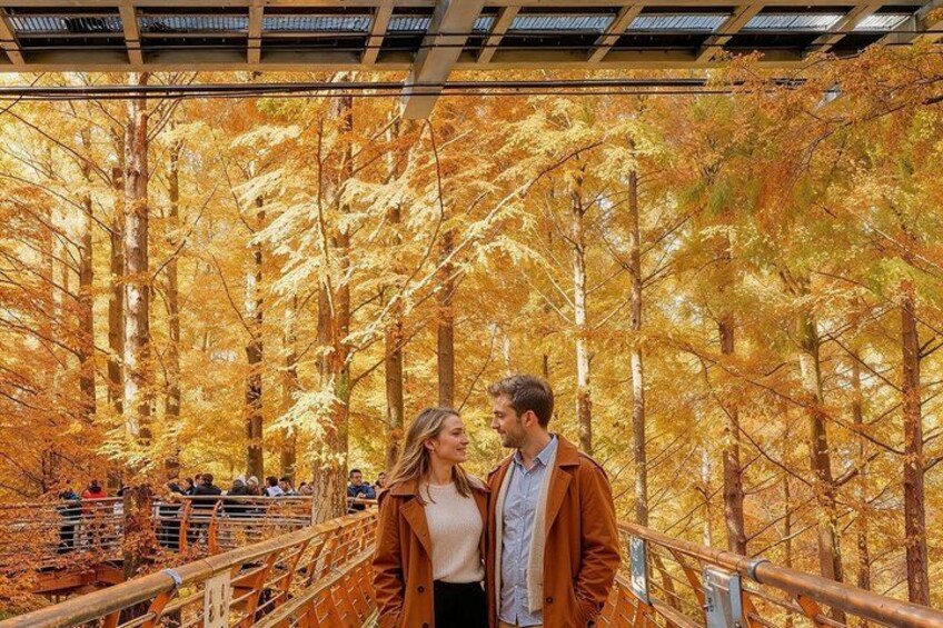 A couple standing on a bridge surrounded by autumn trees. 3