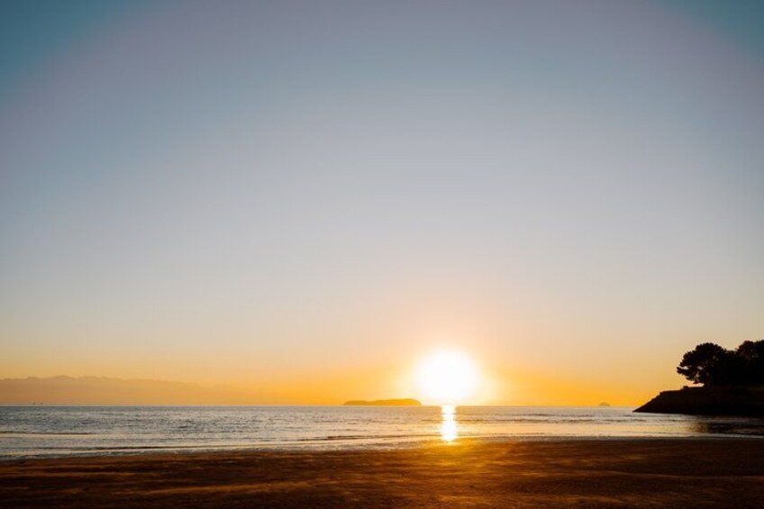 A sunset over a beach with calm waters and a silhouette of a tree on the right. 5
