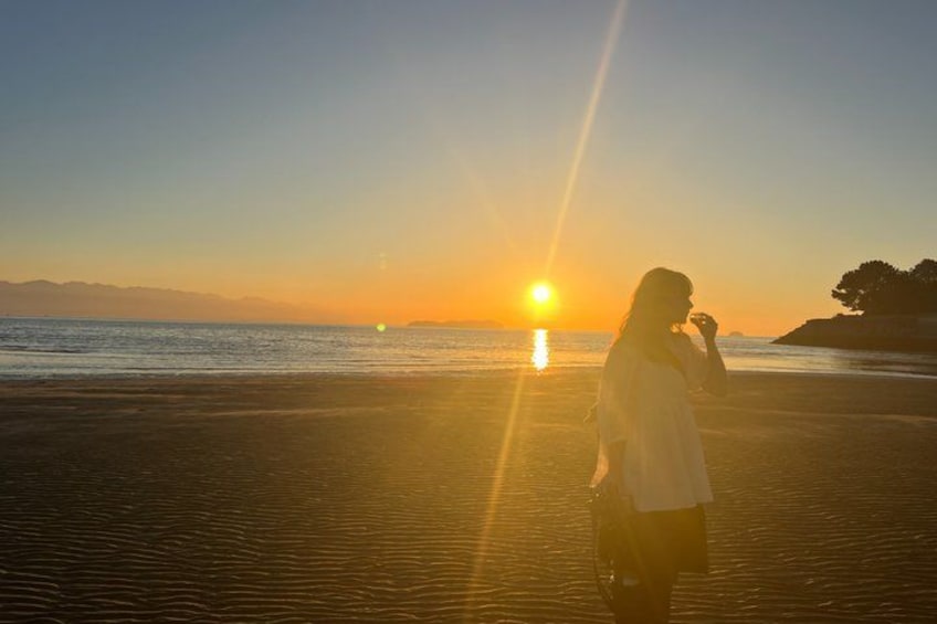 A person standing on a beach at sunset with the sun low on the horizon. 3
