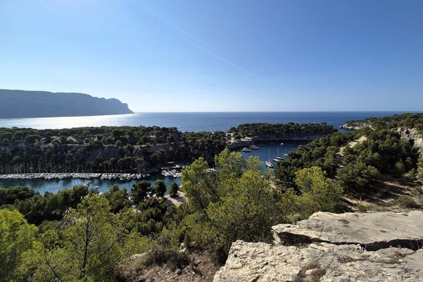 A coastal landscape with rocky terrain, dense greenery, and a clear blue sky. 3