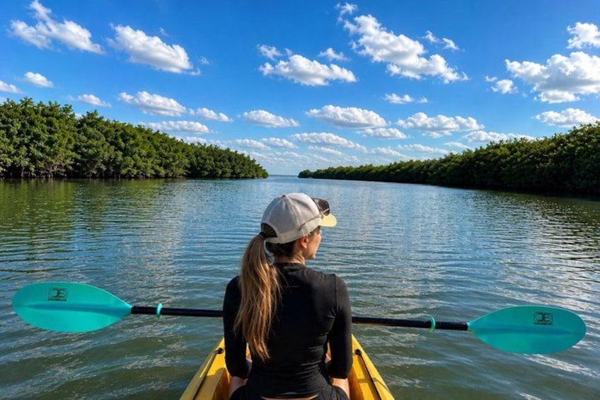 A person in a canoe on a calm river, surrounded by lush greenery and a clear blue sky. 1