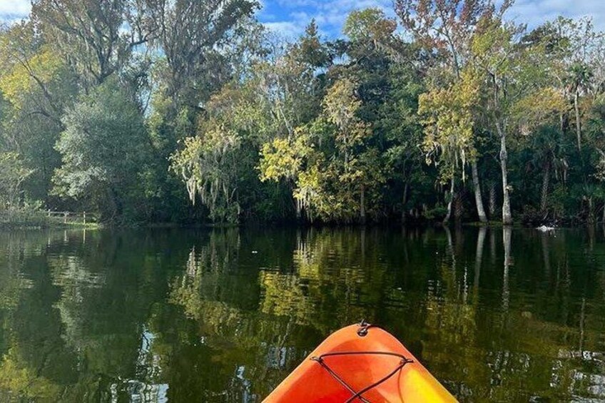 A calm river with a kayak in the foreground and dense trees reflecting on the water. 2