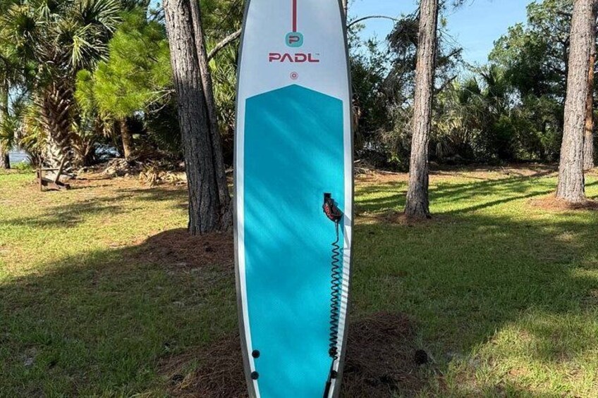 A surfboard with the brand 'PADI' and a butterfly sticker. 1