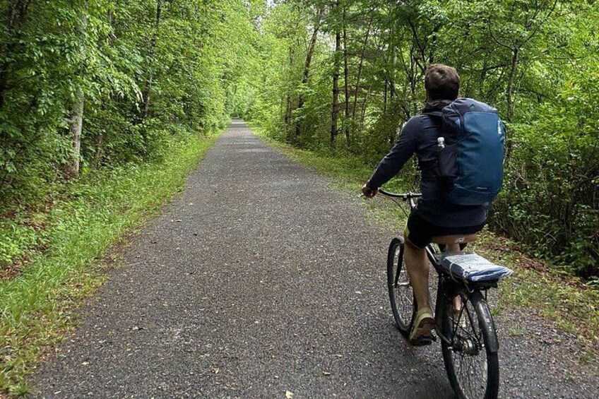 A person riding a bicycle on a paved path surrounded by dense green foliage. 5
