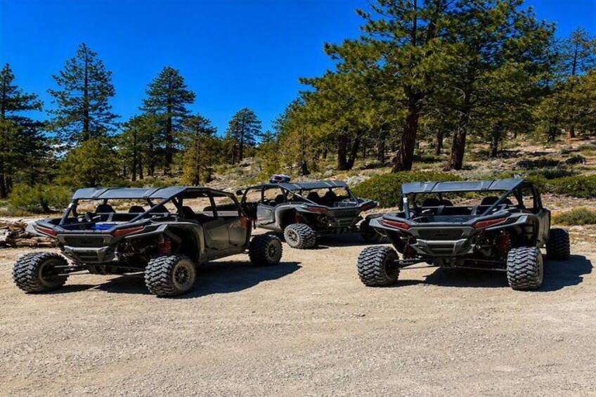 Three off-road vehicles parked on a gravel surface with pine trees in the background. 4