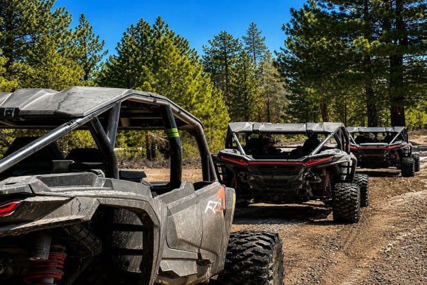 Off-road vehicles parked on a dirt path in a forested area. 3