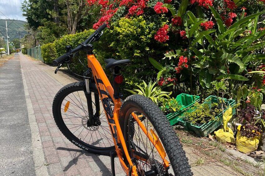 A mountain bike parked on a paved path with lush greenery and red flowers in the background. 3