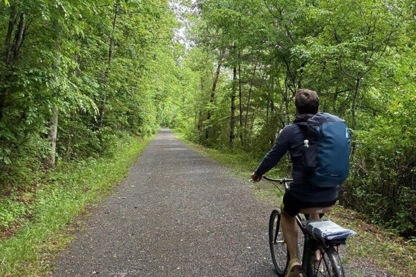 A person riding a bicycle on a paved path surrounded by dense green foliage. 5