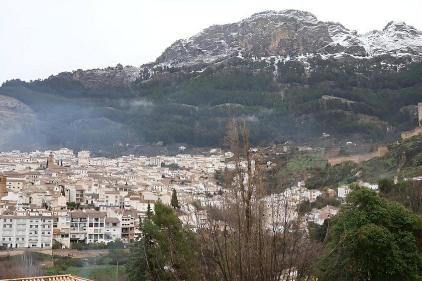 A cityscape with buildings, a mountain, and trees. 3