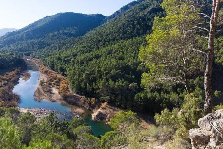 A river winding through a forested valley with hills in the background. 2