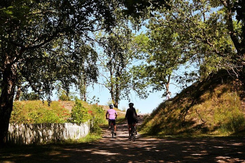 Two cyclists on a paved path surrounded by trees. 2