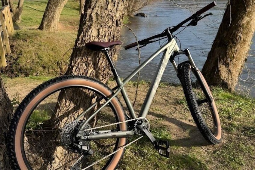 A mountain bike leaning against a tree by a body of water. 4