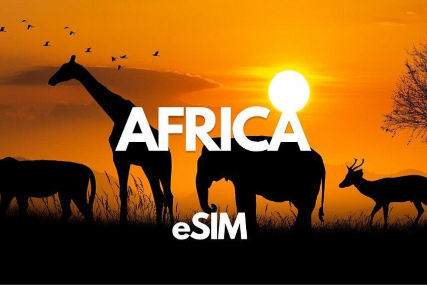 Silhouettes of a giraffe, elephant, and deer against a sunset. 1