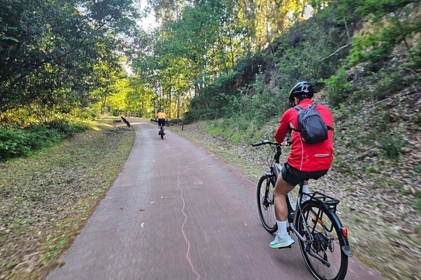 A paved path with cyclists, surrounded by trees and greenery. 1
