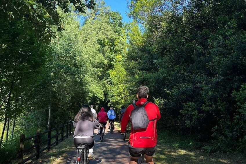 A group of people walking on a path surrounded by dense green foliage. 2