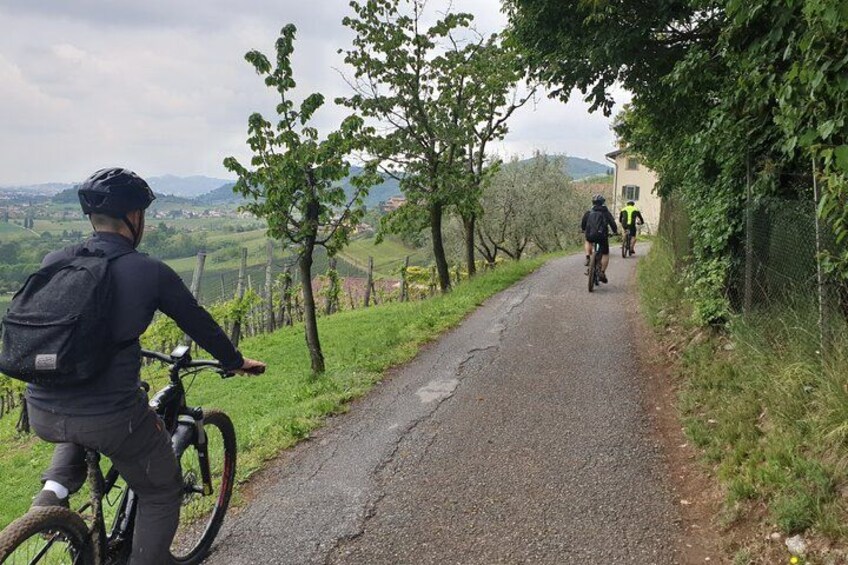 A cyclist on a paved path with trees and a fence on one side, and a building in the distance. 2