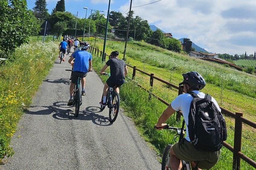 Cyclists on a paved path with a wooden fence on one side and a grassy hill on the other. 1