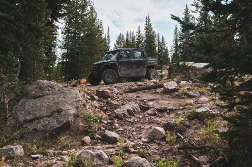 A vehicle on a rocky trail surrounded by dense forest. 5