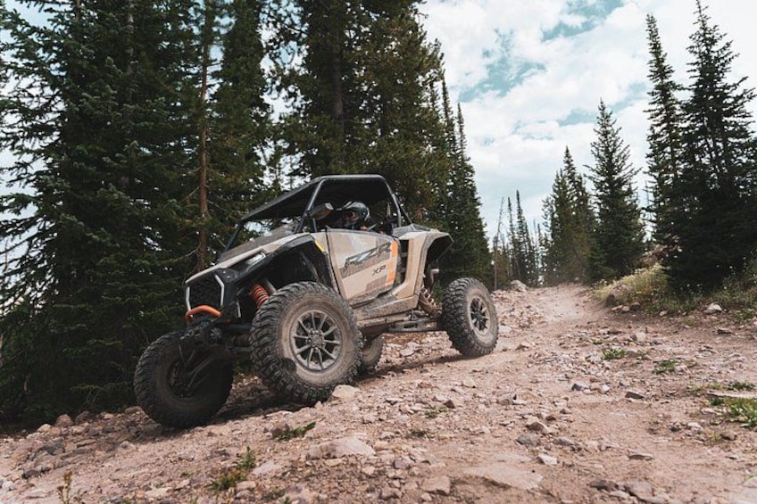 A 4x4 vehicle on a dirt trail surrounded by trees. 1