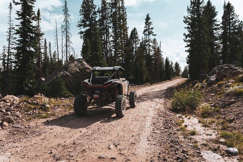 A quad bike on a dirt path surrounded by trees. 3