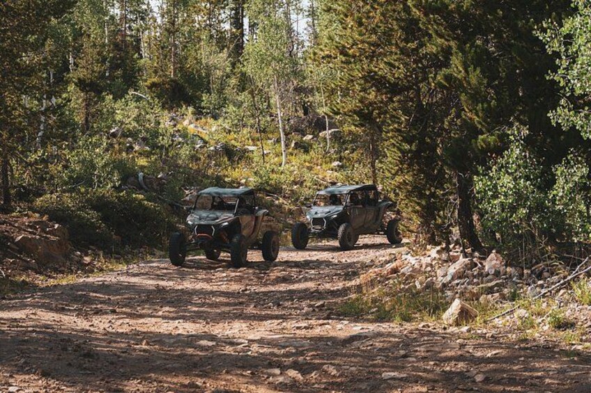 Two off-road vehicles on a dirt path surrounded by trees. 4