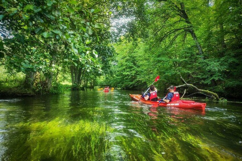Two people kayaking on a river surrounded by dense green foliage. 5