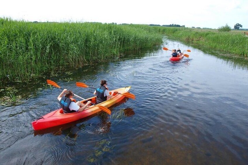 Two people kayaking on a calm river surrounded by tall grass. 4