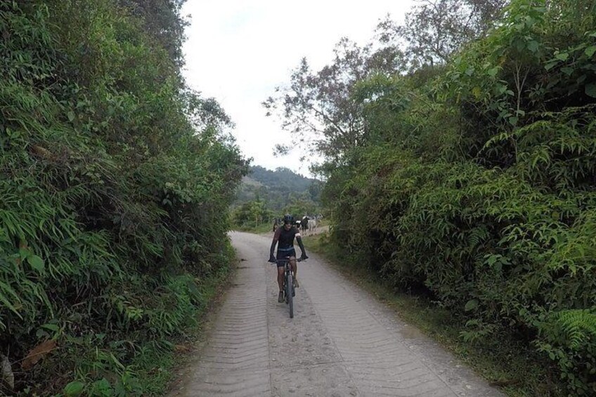 A cyclist on a narrow, paved path surrounded by dense greenery. 4