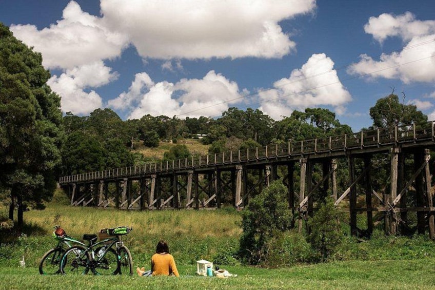 A wooden bridge, a grassy field, and a person sitting on the grass. 5