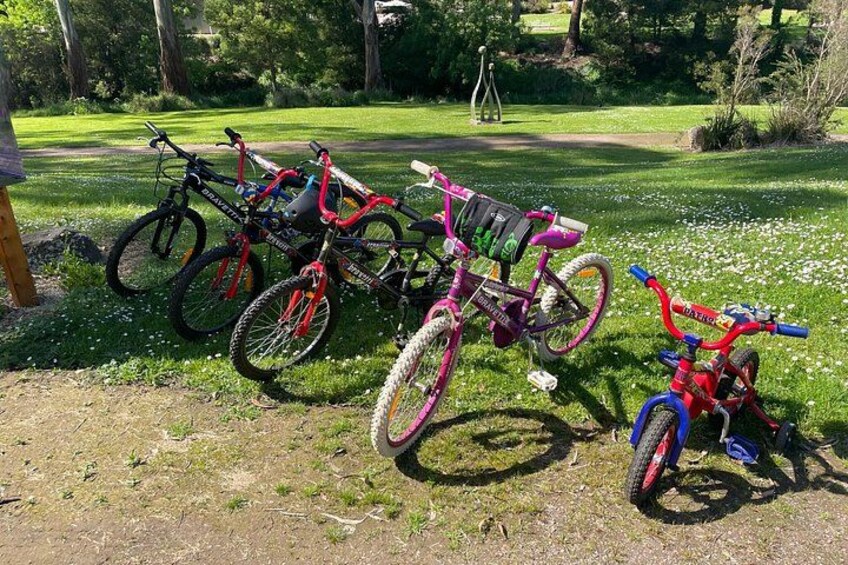 A row of bicycles parked on a grassy area with trees in the background. 3