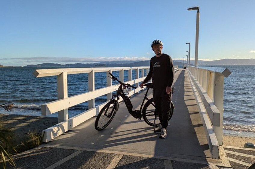 A person standing on a bridge with a bicycle, overlooking a body of water and distant mountains. 3
