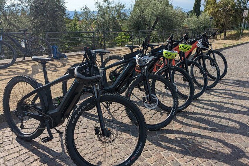 A row of bicycles parked on a paved surface with trees in the background. 3