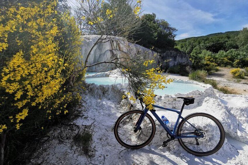 A bicycle parked on a snowy path with a yellow flowering bush and a rocky cliff in the background. 1