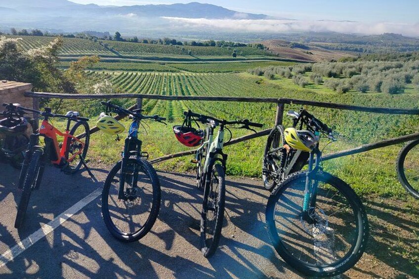 Bicycles parked on a road with a vineyard in the background. 4