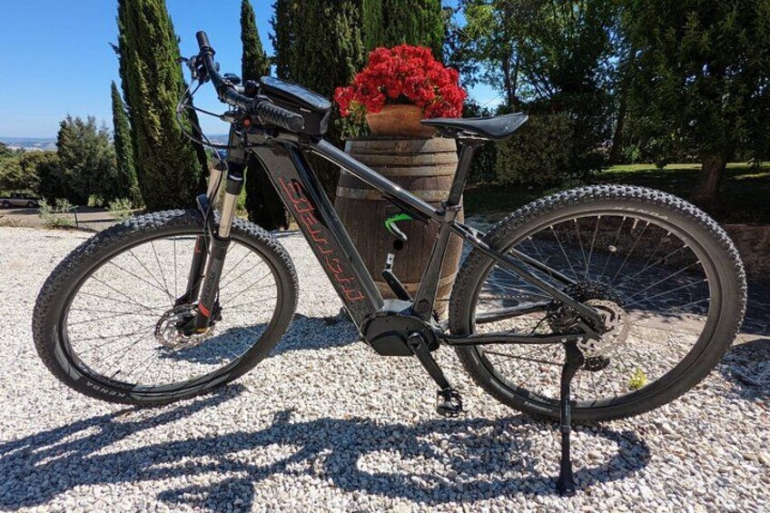 A mountain bike parked on gravel with a flower pot on the back. 5