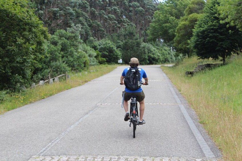 A person riding a bicycle on a paved path surrounded by greenery. 5
