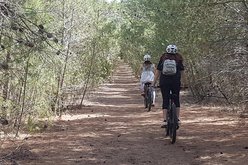 A dirt path with cyclists. 4