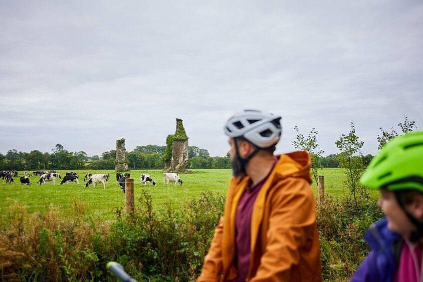 A cyclist in a yellow jacket and helmet, a green helmeted child, and grazing cows in a field with a stone structure in the background. 3
