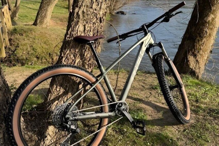 A mountain bike leaning against a tree by a body of water. 5