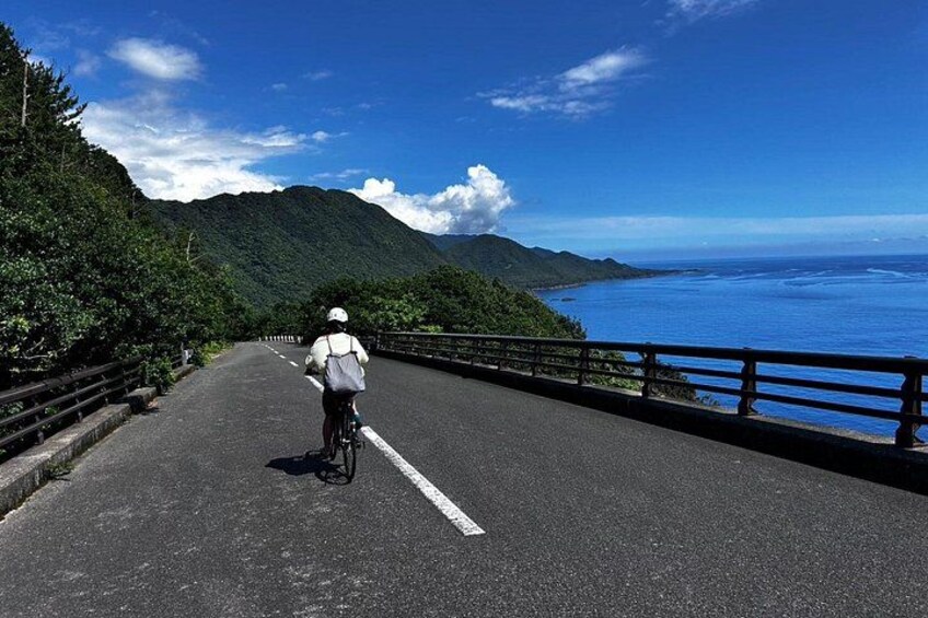 A person riding a bicycle on a road with a view of the ocean and mountains. 5