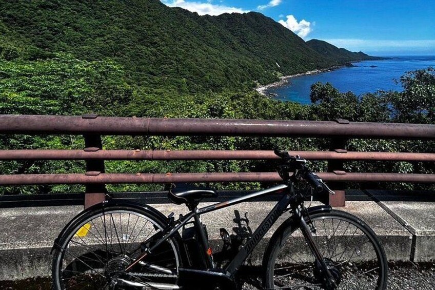 A bicycle parked on a bridge with a coastal landscape in the background. 2